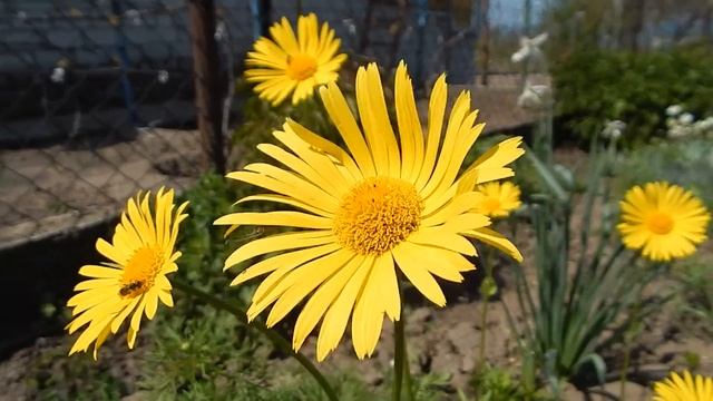 Тест №1 Nikon coolpix l830 смотреть онлайн