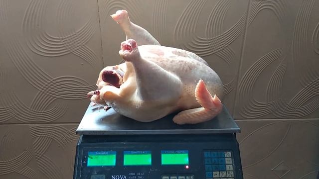 ШОК!!! БРОЙЛЕР ГИГАНТ| Максимальный вес бройлеров в 5 месяцев смотреть онлайн