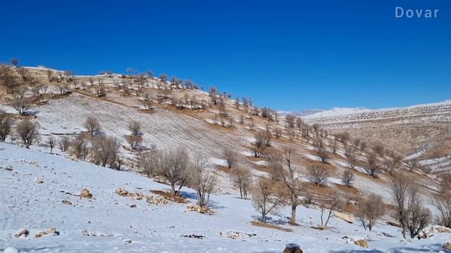 A New Chapter: Noorbakhsh's Return to Nomadic Life After Prison Release смотреть онлайн