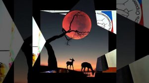 Я грею счастье внутри, смотри, оно с тобою связано!