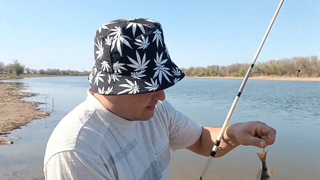 ВОБЛА ПОШЛА #астрахань #весна #рыбалка #вобла #вобла