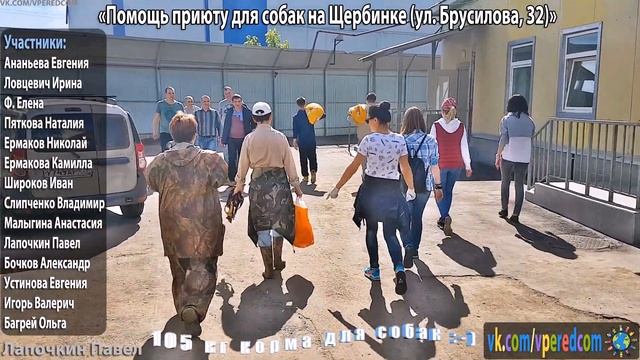Приют для собак на Щербинке (ул. Брусилова, 32) смотреть онлайн
