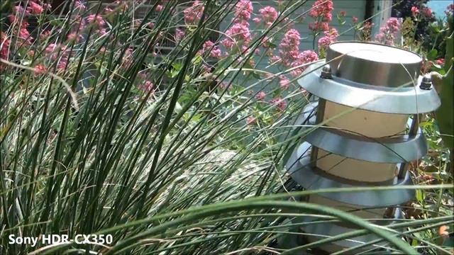 Sony HDR-CX350 TEST смотреть онлайн