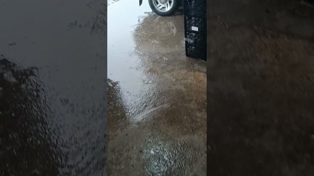 YouCut_20230525_223209259.mp4