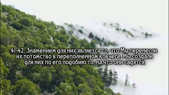 Сура Ясин перед сном.