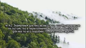 Сура Ясин перед сном.