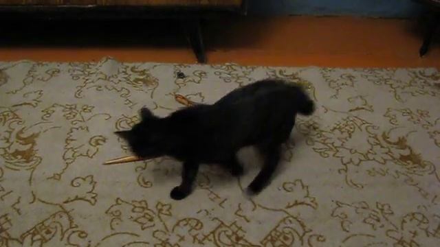 кошка и игрушечная змея смотреть онлайн