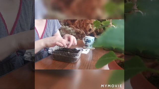Домашняя хроника. Март смотреть онлайн