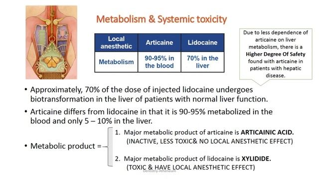 LIDOCAINE VS ARTICAINE смотреть онлайн