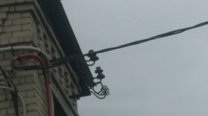 Поиски изоляторов, редкие виды // Insulator Hunting // Неизвестная модель