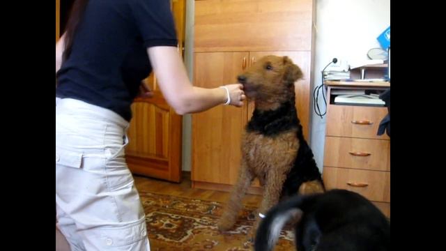 Яша голосует за перемены:-)