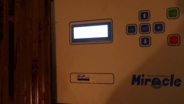 ВЫХОДНЫЕ С МУЖЕМ ЗА ГОРОДОМ В ОЖИДАНИИ МАЛЫШКИ | ЭТНОМИР & NIKKOKO8