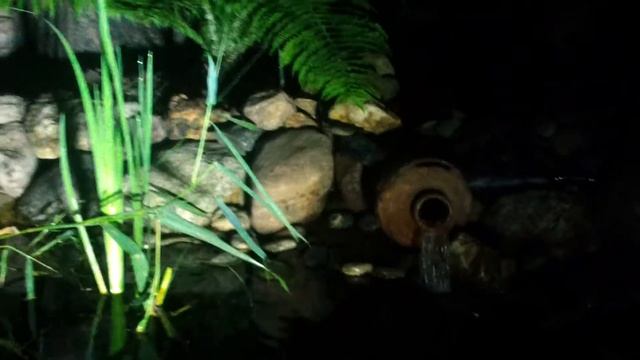 пруд на даче ночью 3 смотреть онлайн