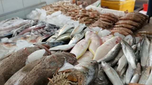 Fish market in Ajman | Papi Bern смотреть онлайн