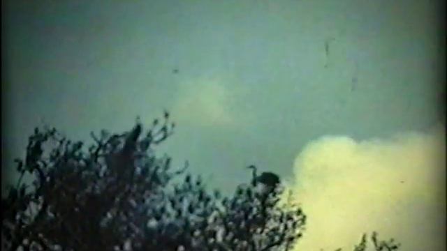 Устье р. Ворсклы (май 1991) смотреть онлайн