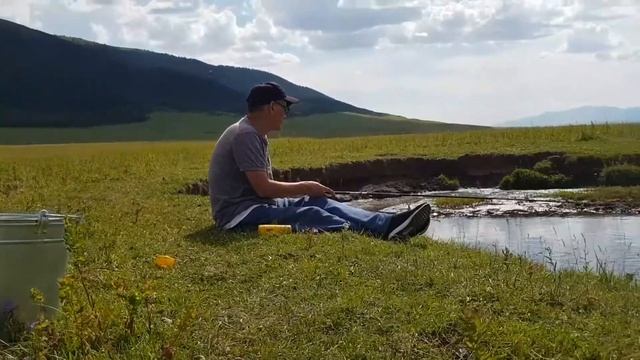 Рыбалка на османа в горах Нарынкол смотреть онлайн
