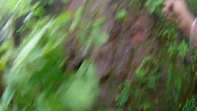 Trekking To The Hidden Fort | Top Of Vizag | Telugu Vlogs