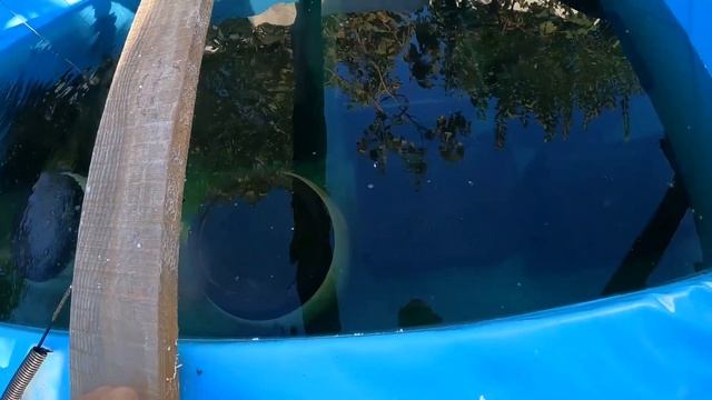 Экскурсия на мини УЗВ с креветкой смотреть онлайн