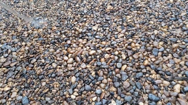 Дорожка из гравия с применением полимера Ультимакс отлично пропускает воду и не образует луж смотреть онлайн