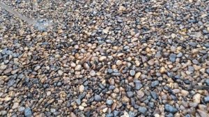 Дорожка из гравия с применением полимера Ультимакс отлично пропускает воду и не образует луж