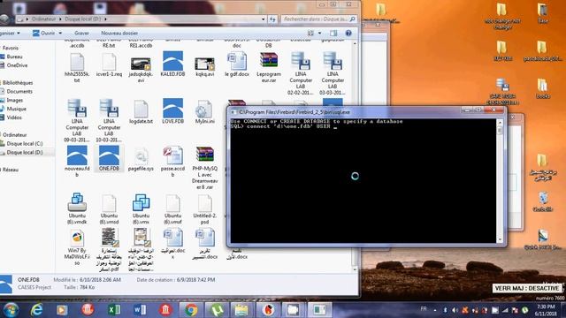 FireBird Connect To DataBase
