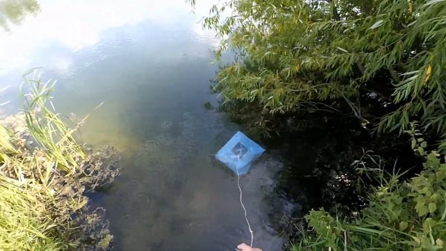 Ловля раков на раколовку | На чеснок смотреть онлайн