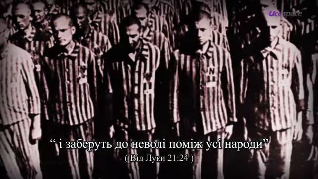 Таємниця про дерево фігове смотреть онлайн