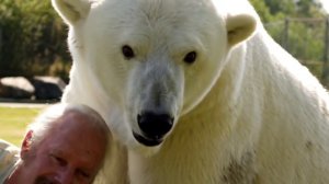 10 САМЫХ ПУГАЮЩИХ ДОМАШНИХ ЖИВОТНЫХ