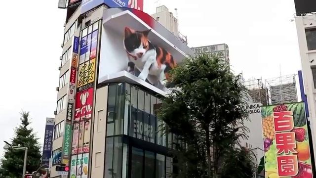 Котик в здании смотреть онлайн