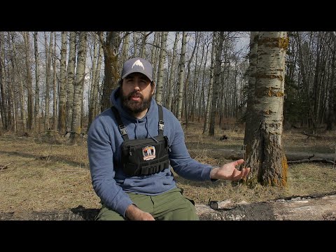 Where to Find Sasquatch смотреть онлайн