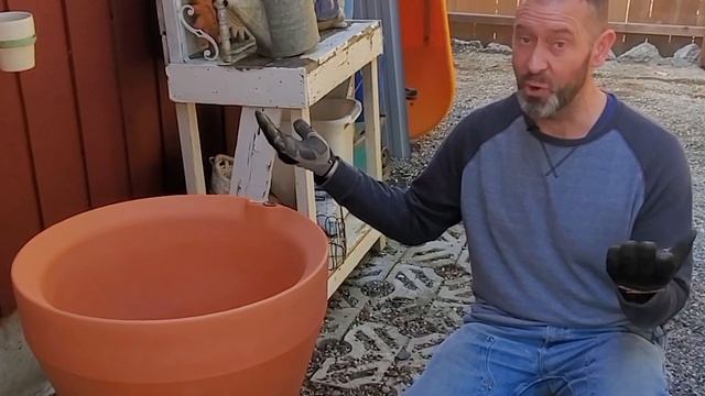 🌴👍 Planting a Tropical Container for Partial Shade - SGD 364 👍🌴 смотреть онлайн