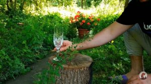 Фруктовый Коктейль Азербайджанская Кухня Деревенская Кухня  Рецепты