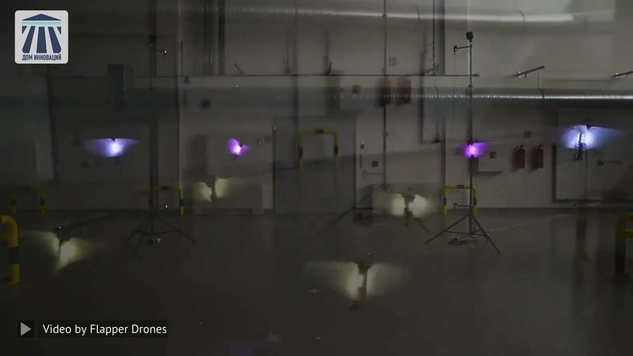 04 Innovation from Flapper Drones (House of Innovation)