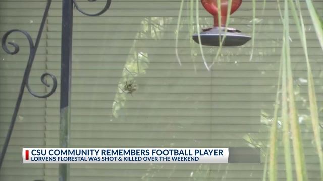 CSU Officials React to Death of Football Player смотреть онлайн
