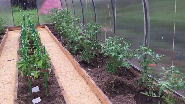 Моя любимая дача смотреть онлайн