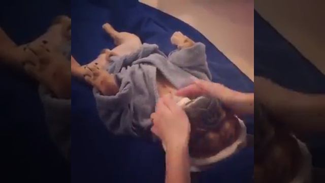 С Вами Панарина Надя. С Добрым утром!