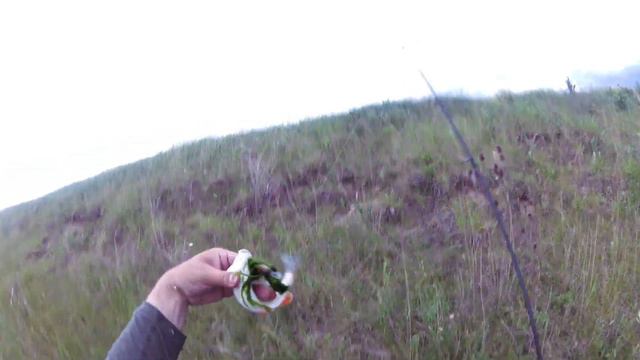 Голавль, июнь 2020. река Мокрый Карамык. Рыбалка на воблер смотреть онлайн