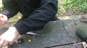 Растяжка из сигнала охотника. Проект Чистота.