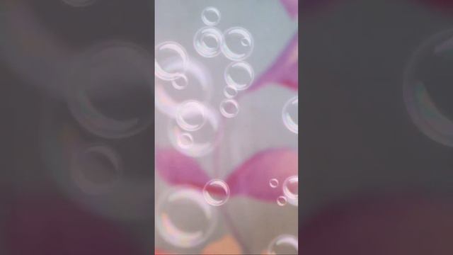 #40 SLS for my wh 💕💕🌹❤️💗 goodmorning everyone 😘💕❤️💕 смотреть онлайн