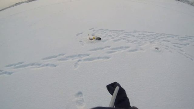 Зимняя рыбалка (применение эхолота) смотреть онлайн