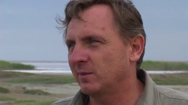 Зеленый туризм к затоке СИВАШ смотреть онлайн