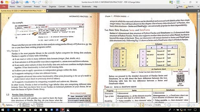 Class XII Informatics Practices ch-1 (Python pandas- I) part-1 смотреть онлайн