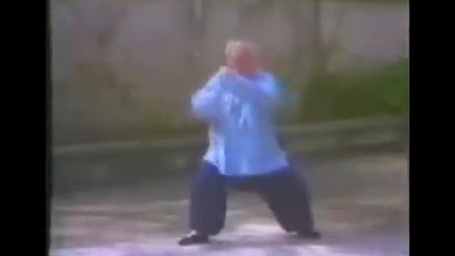 Тайцзи.Стиль Ян.Фу Чжунвень.Выброс усилия