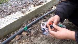 Капельный полив.Оптимизация капельного полива под различные овощные культуры.