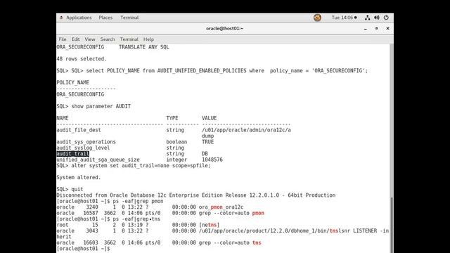 Enable unified auditing in Oracle database 12c смотреть онлайн
