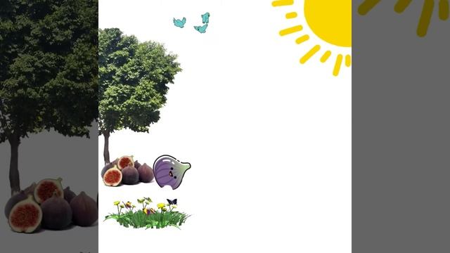 Инжир или фига в кармане смотреть онлайн