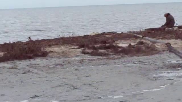 MZ 160 смотреть онлайн