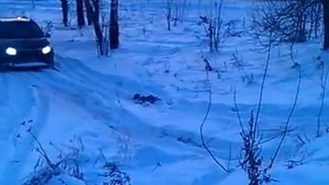 Сандеро смотреть онлайн