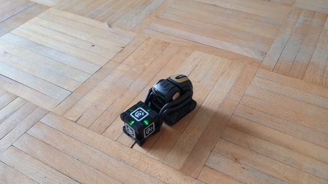 Anki Vector Plays With Cube Вектор играет со своим кубиком