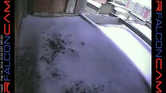 Camera 3 - 02/14/14 смотреть онлайн